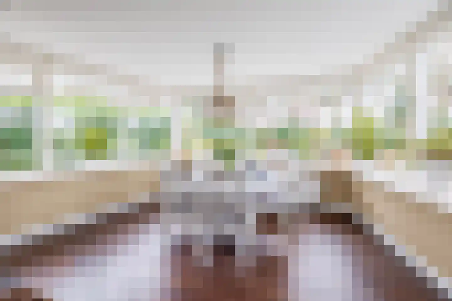Lange Zuiderweg 3 Voorthuizen thumbnail 12