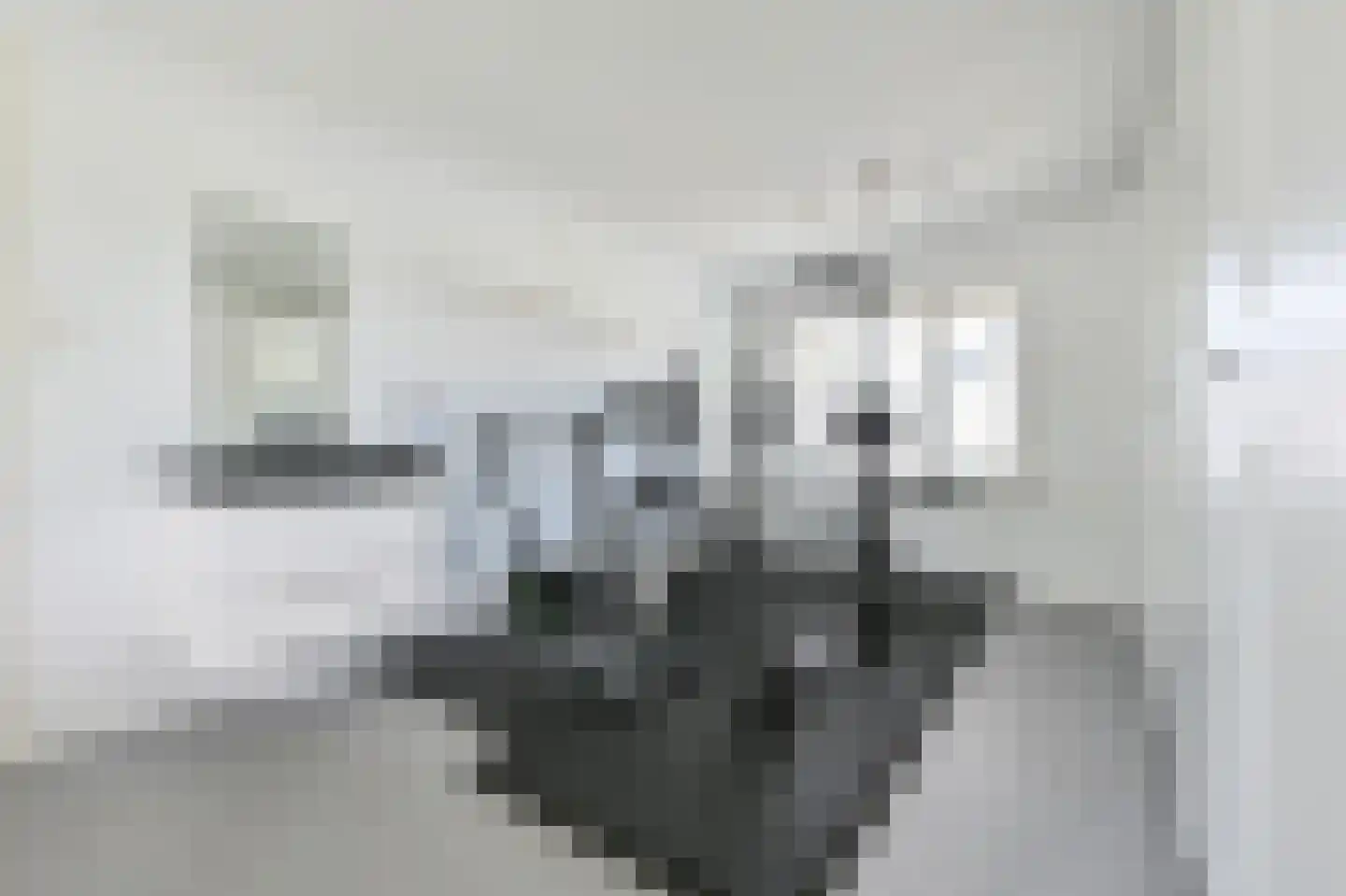 Lange Zuiderweg 3 Voorthuizen thumbnail 29