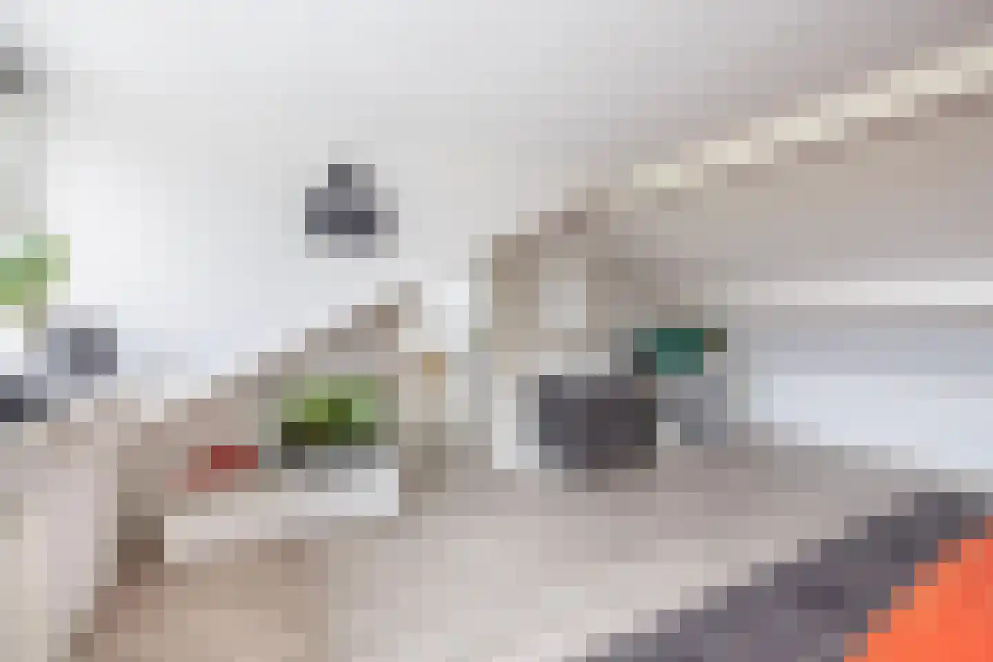 Lange Zuiderweg 3 Voorthuizen thumbnail 31