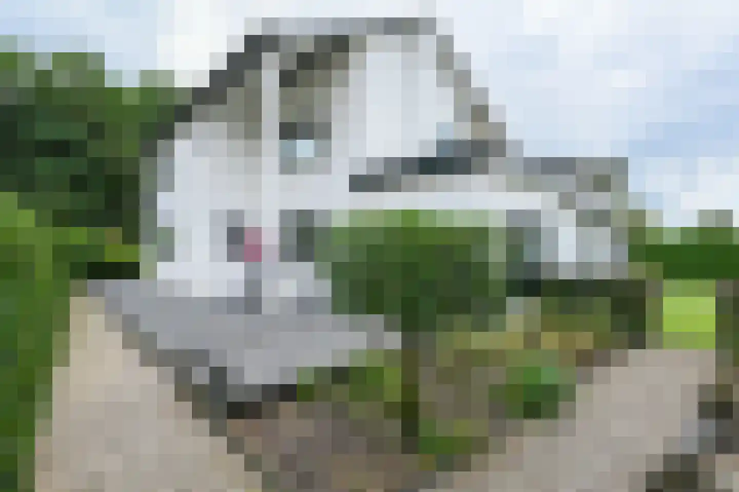 Lange Zuiderweg 3 Voorthuizen thumbnail 42