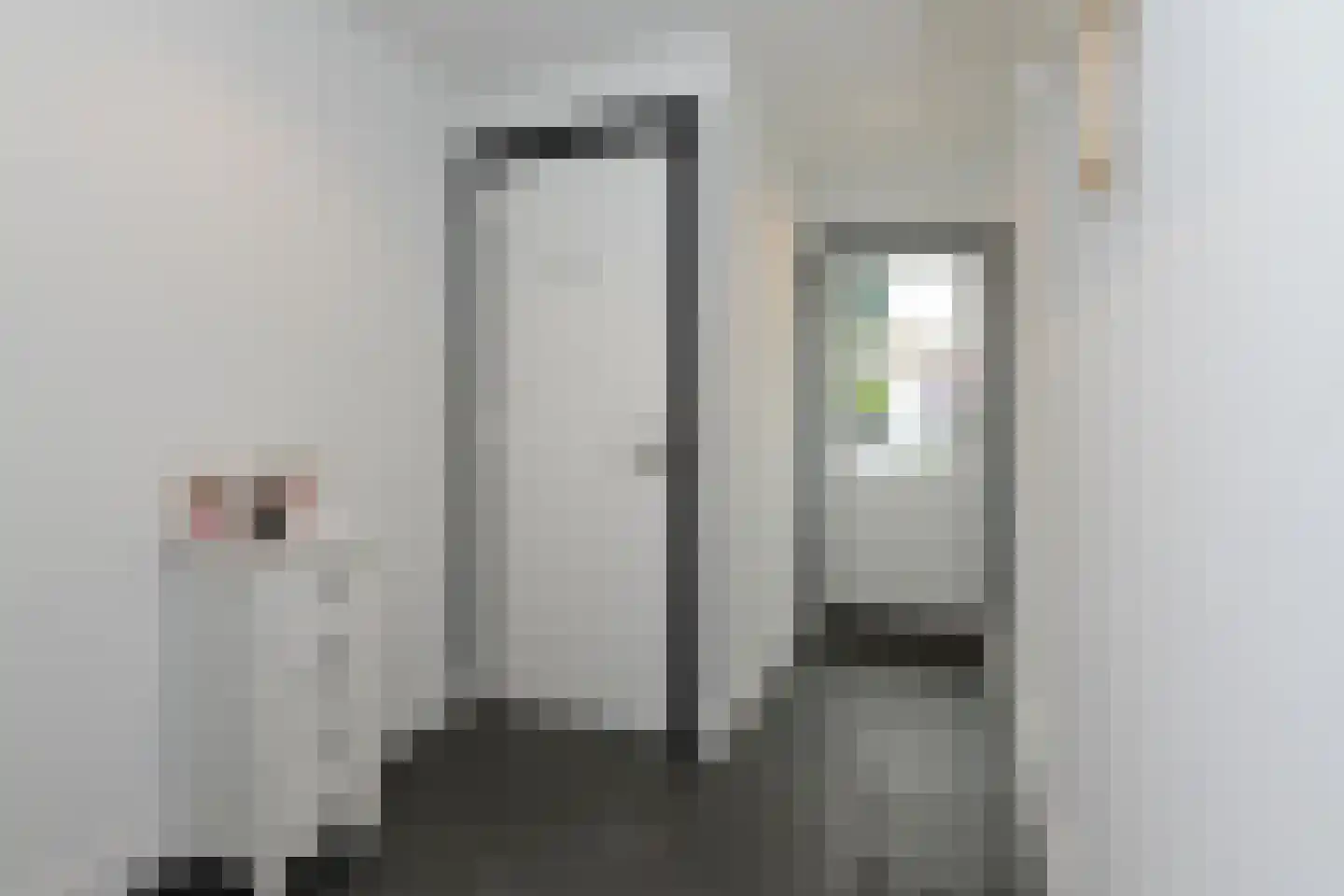 Lange Zuiderweg 3 Voorthuizen thumbnail 44