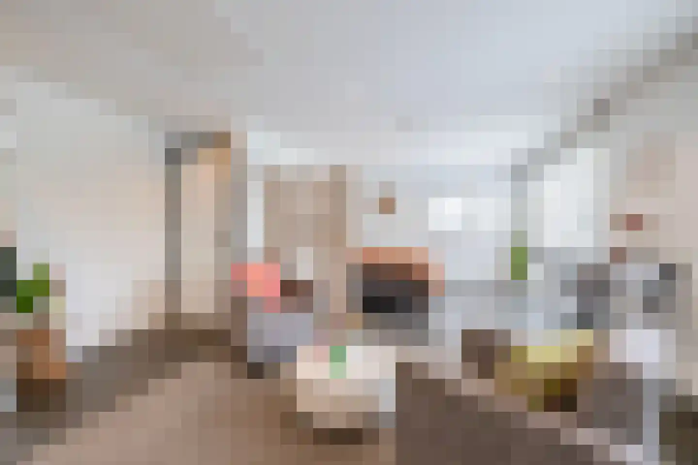 Lange Zuiderweg 3 Voorthuizen thumbnail 46