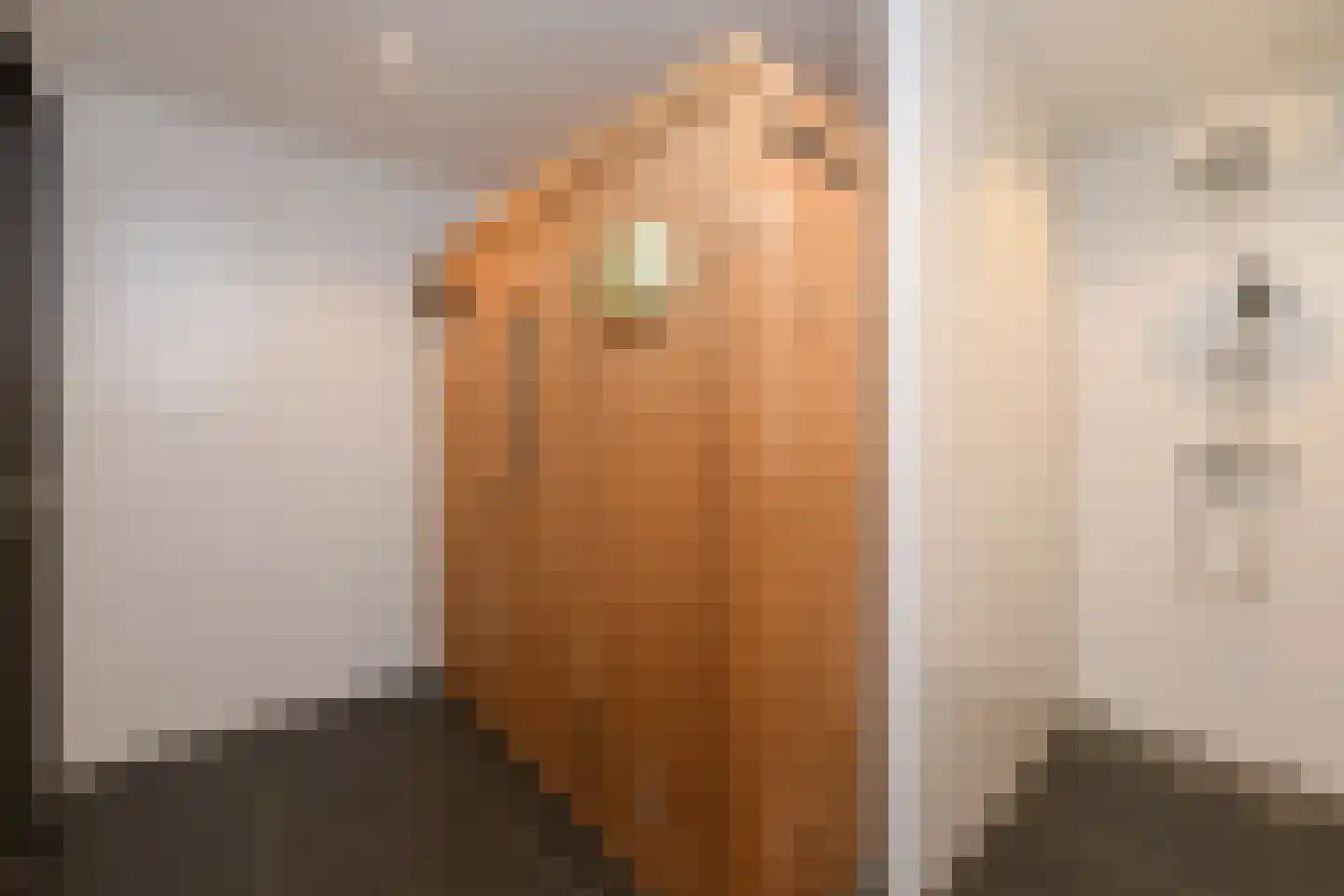 Lange Zuiderweg 3 Voorthuizen thumbnail 54