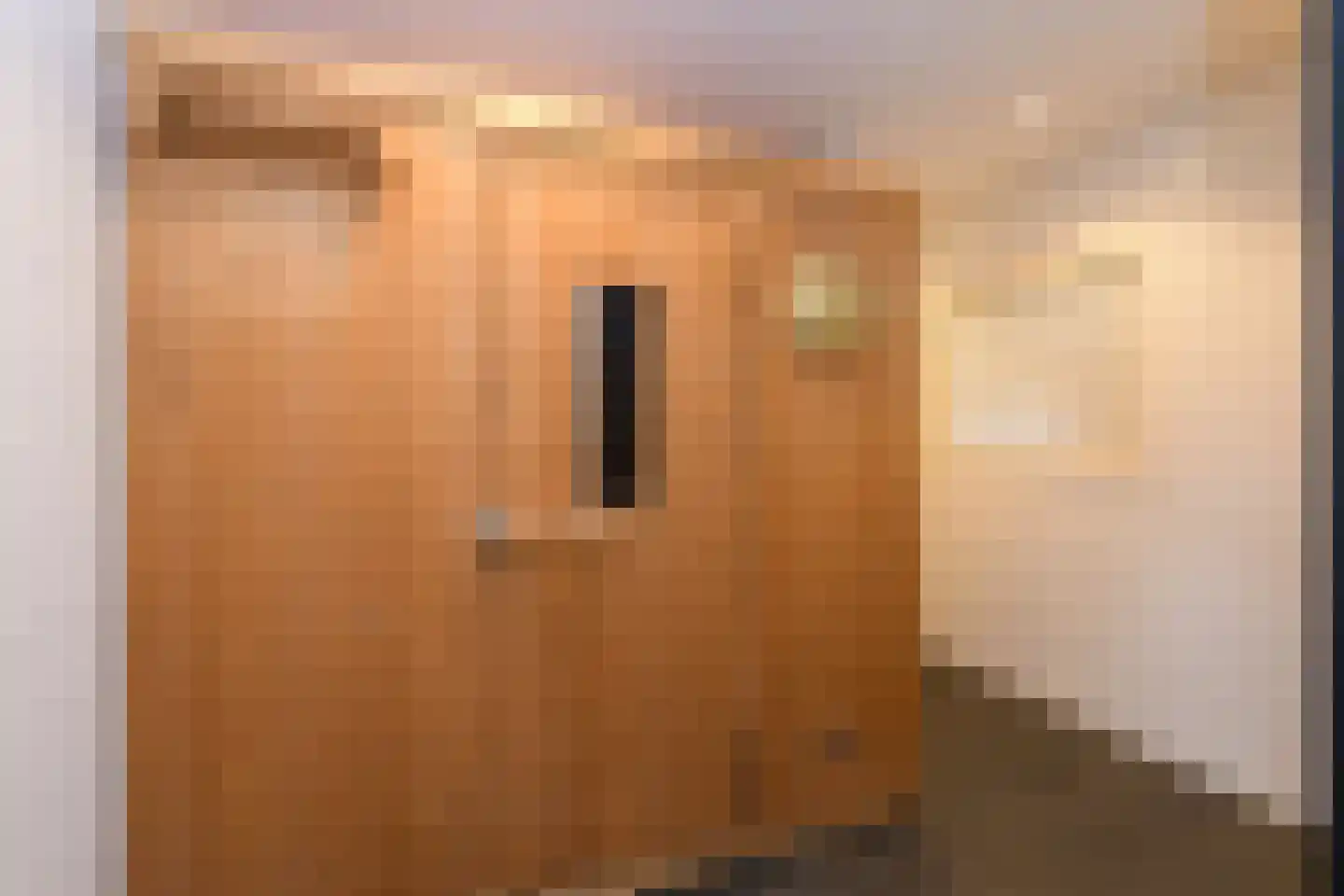 Lange Zuiderweg 3 Voorthuizen thumbnail 55