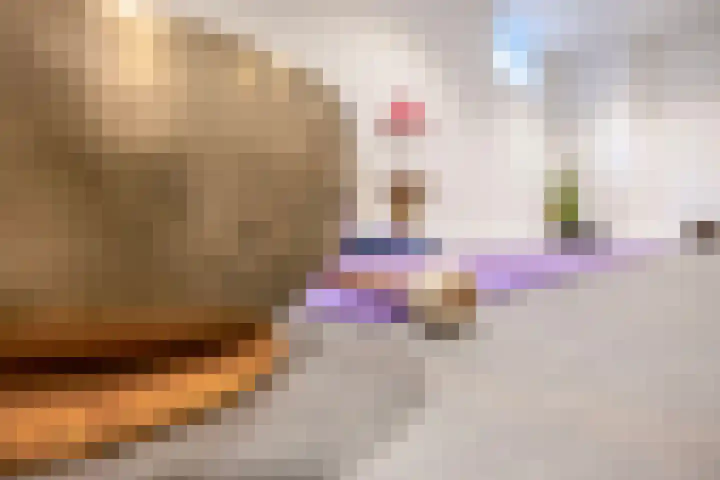 Lange Zuiderweg 3 Voorthuizen thumbnail 58