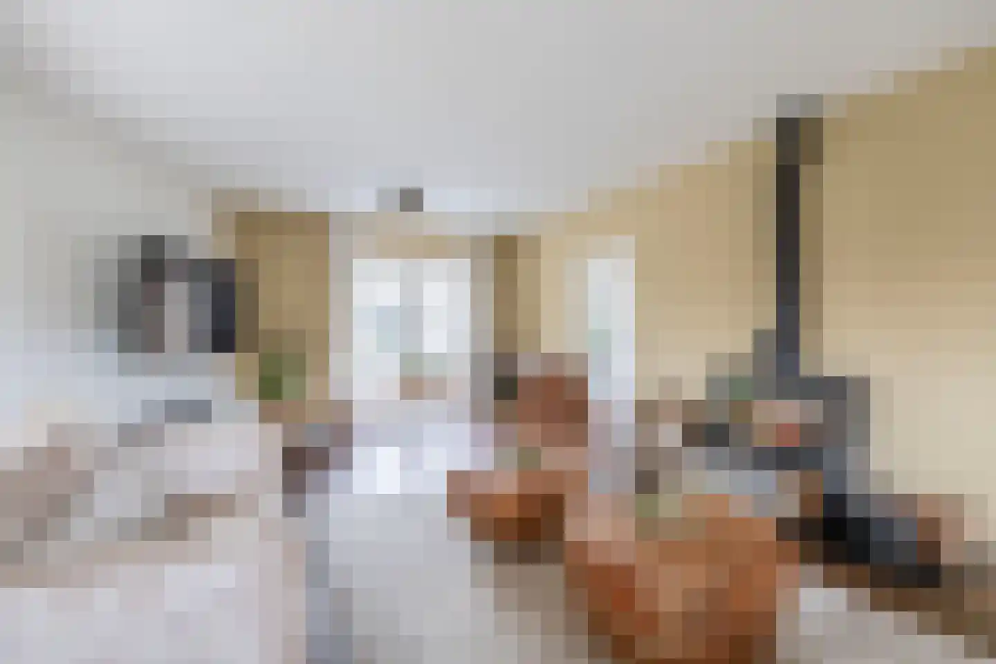 Lange Zuiderweg 3 Voorthuizen thumbnail 6