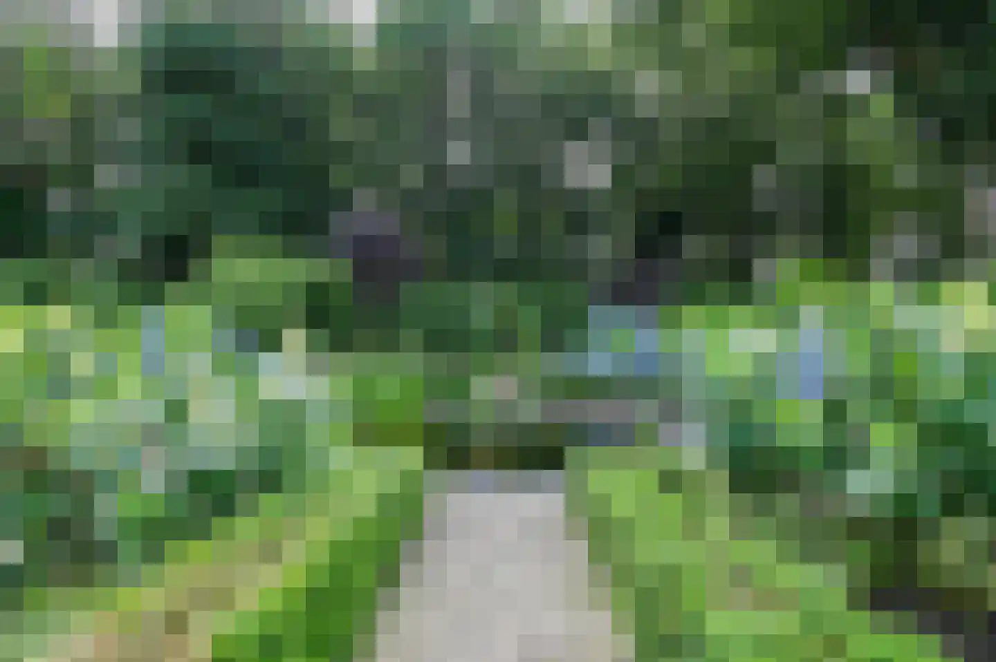 Lange Zuiderweg 3 Voorthuizen thumbnail 63