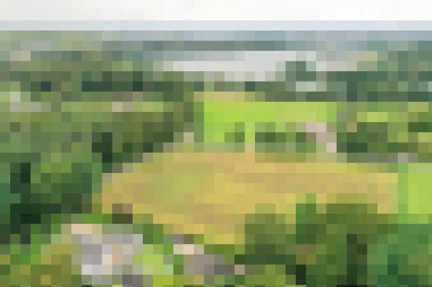 Lange Zuiderweg 3 Voorthuizen thumbnail 70
