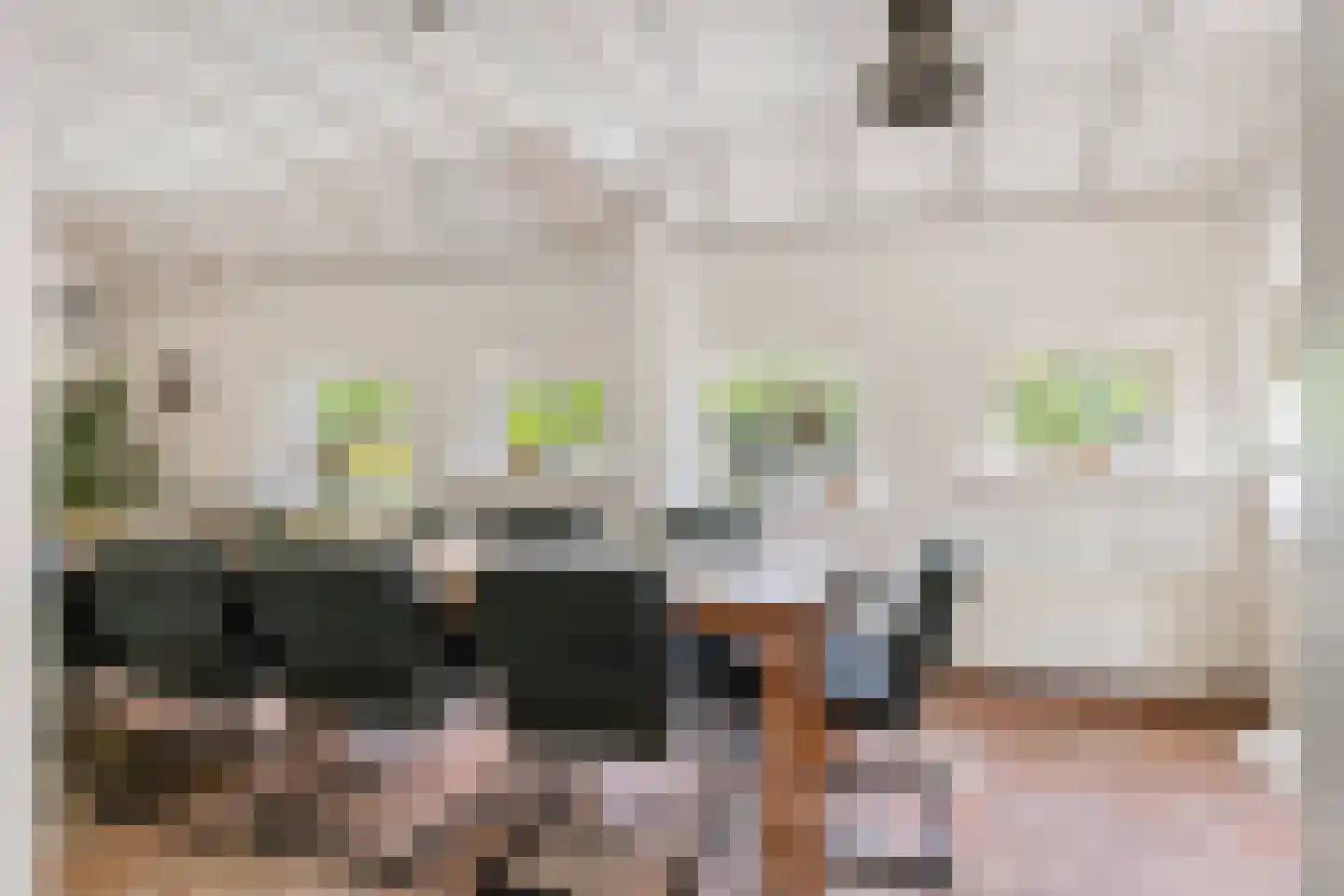 Lange Zuiderweg 62 Voorthuizen thumbnail 10