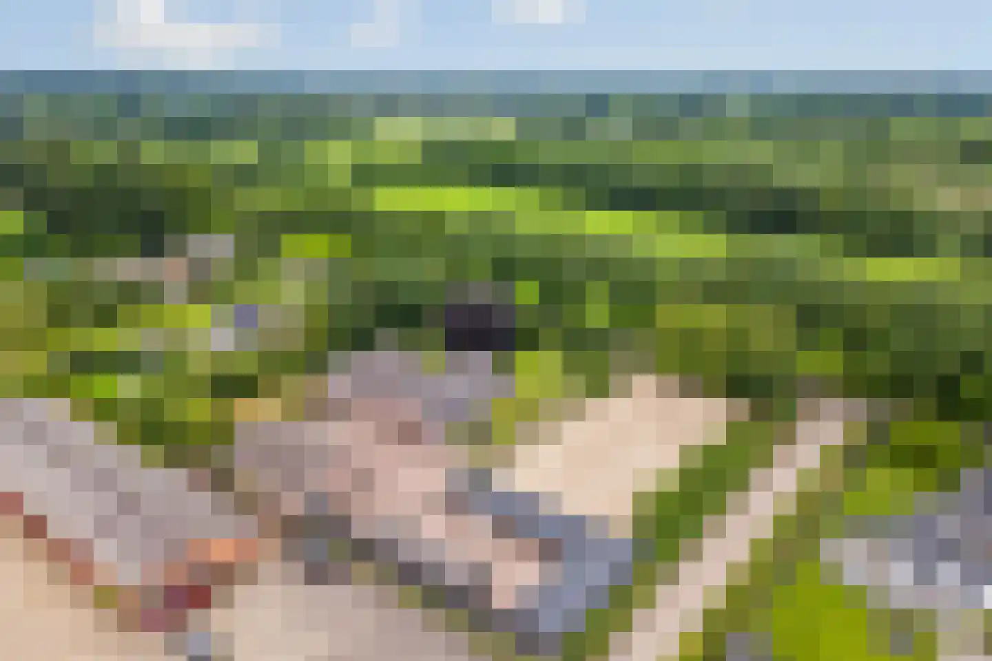Lange Zuiderweg 62 Voorthuizen thumbnail 100