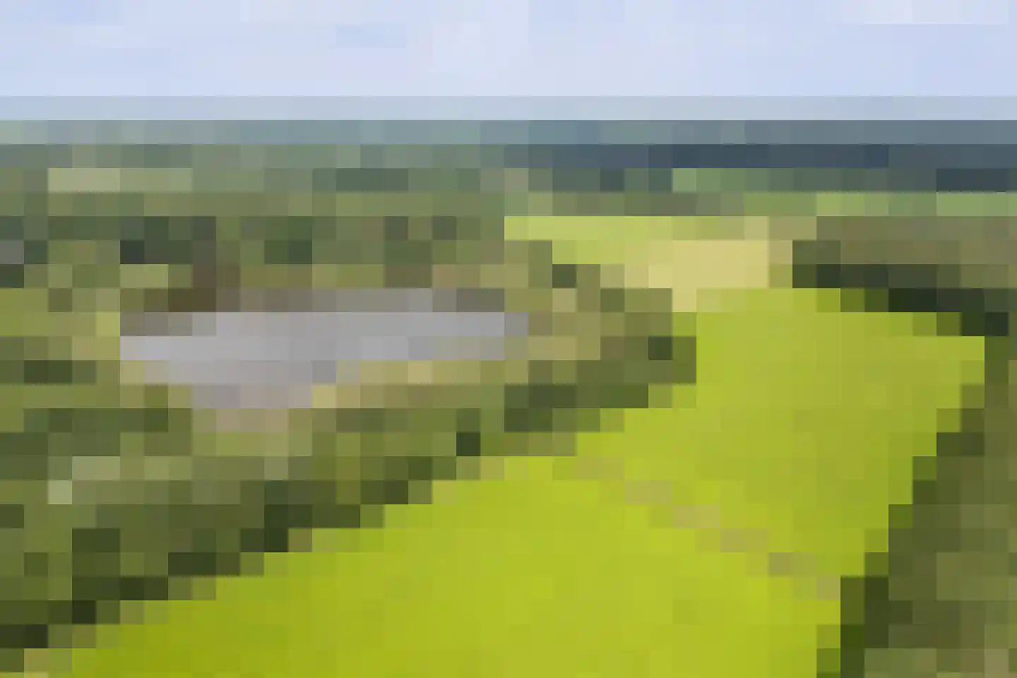 Lange Zuiderweg 62 Voorthuizen thumbnail 101