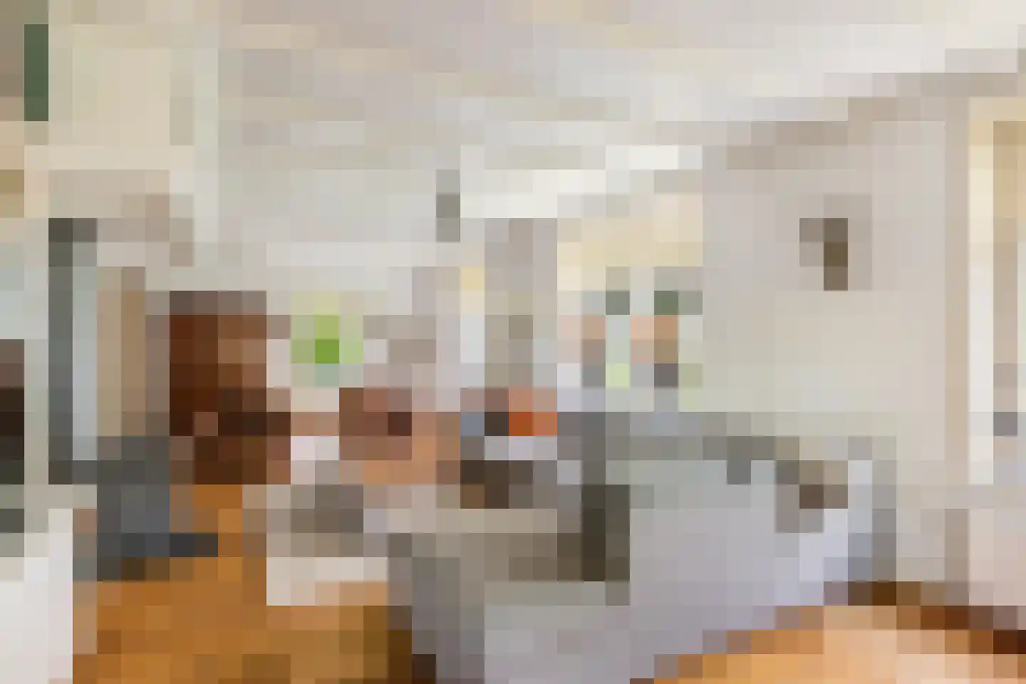Lange Zuiderweg 62 Voorthuizen thumbnail 4