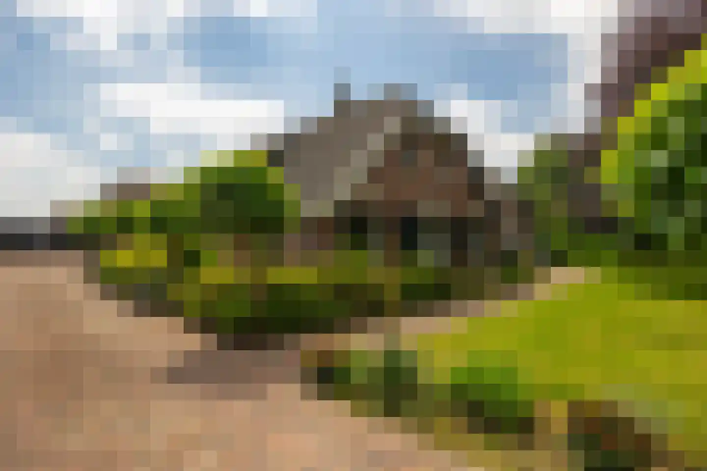 Lange Zuiderweg 62 Voorthuizen thumbnail 49