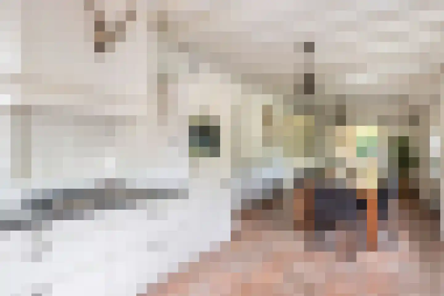 Lange Zuiderweg 62 Voorthuizen thumbnail 5