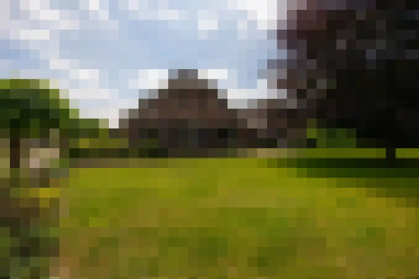 Lange Zuiderweg 62 Voorthuizen thumbnail 51