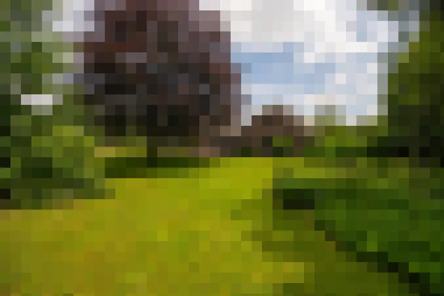 Lange Zuiderweg 62 Voorthuizen thumbnail 52