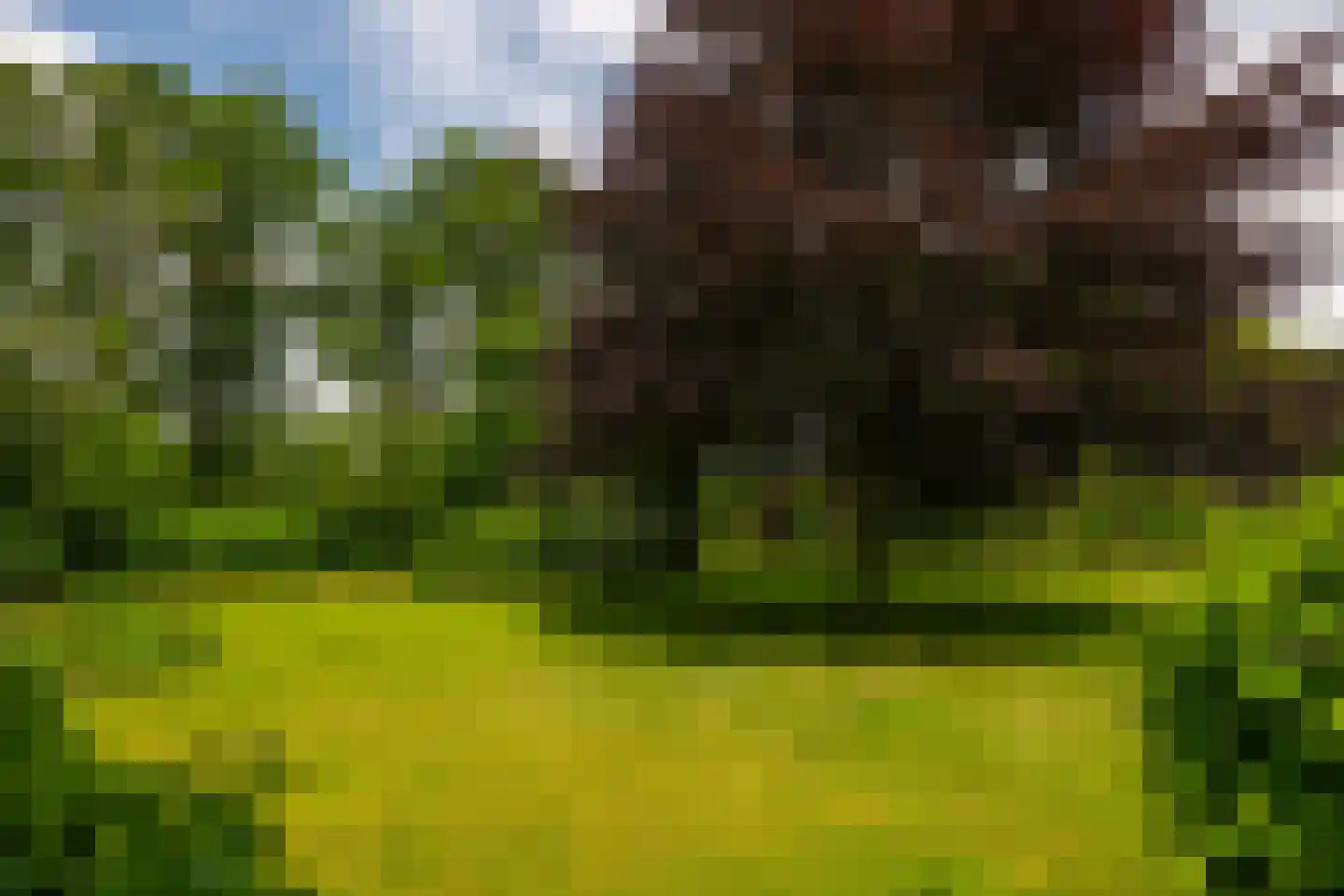 Lange Zuiderweg 62 Voorthuizen thumbnail 53