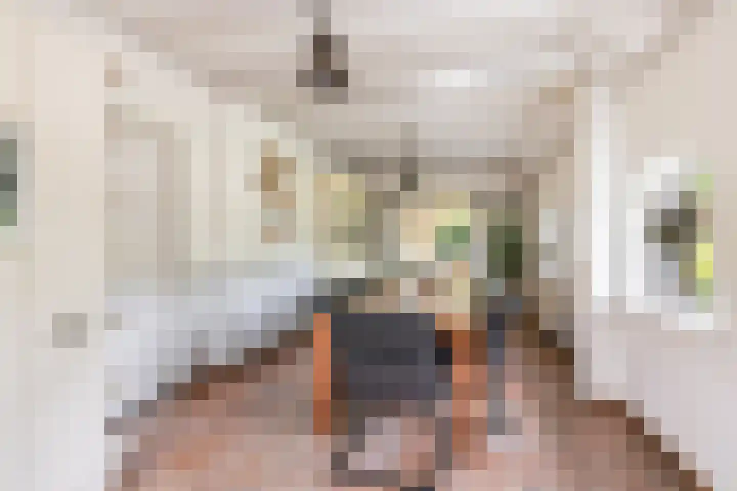 Lange Zuiderweg 62 Voorthuizen thumbnail 6