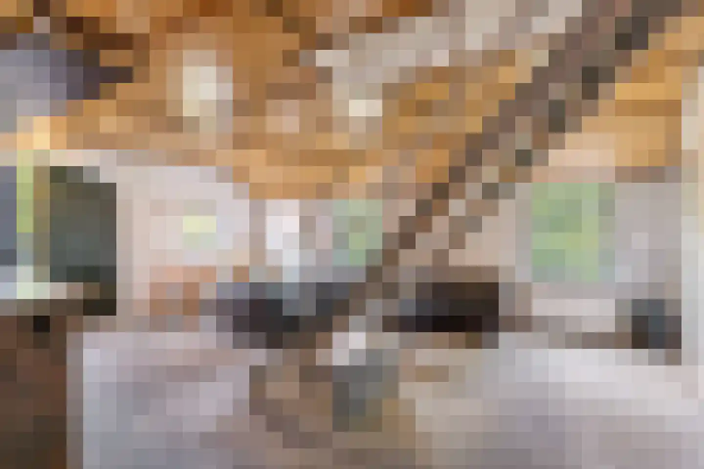 Lange Zuiderweg 62 Voorthuizen thumbnail 60