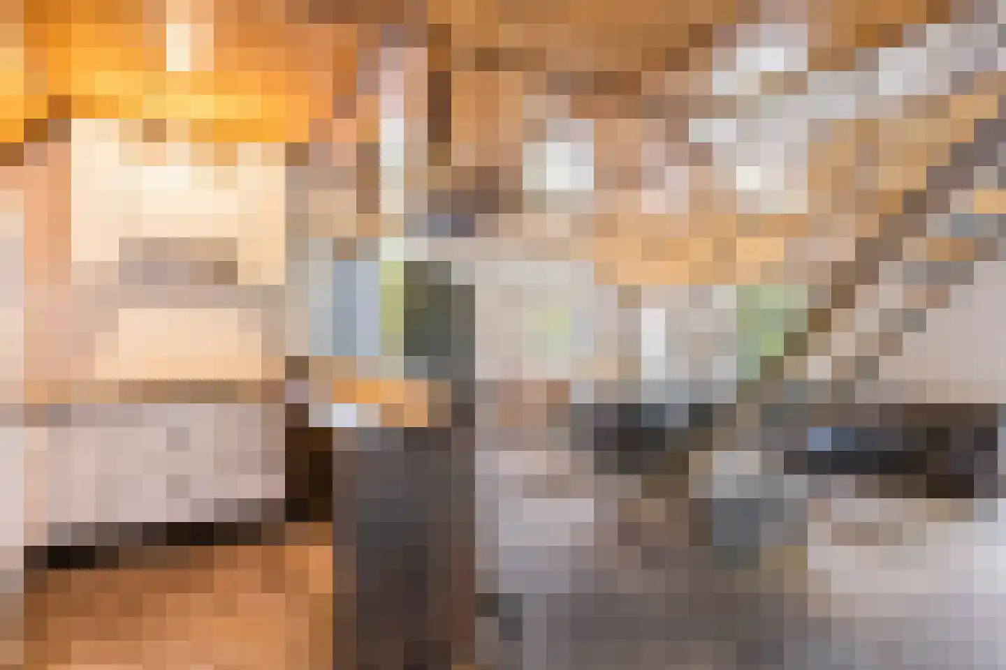 Lange Zuiderweg 62 Voorthuizen thumbnail 64