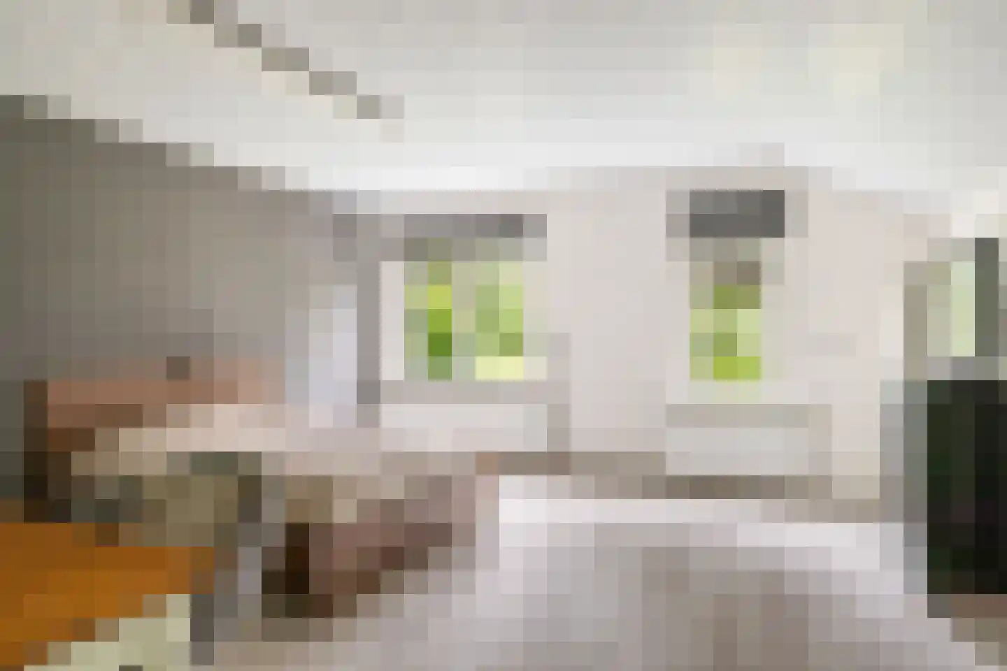 Lange Zuiderweg 62 Voorthuizen thumbnail 65