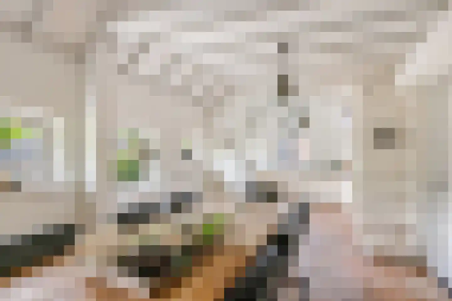 Lange Zuiderweg 62 Voorthuizen thumbnail 8