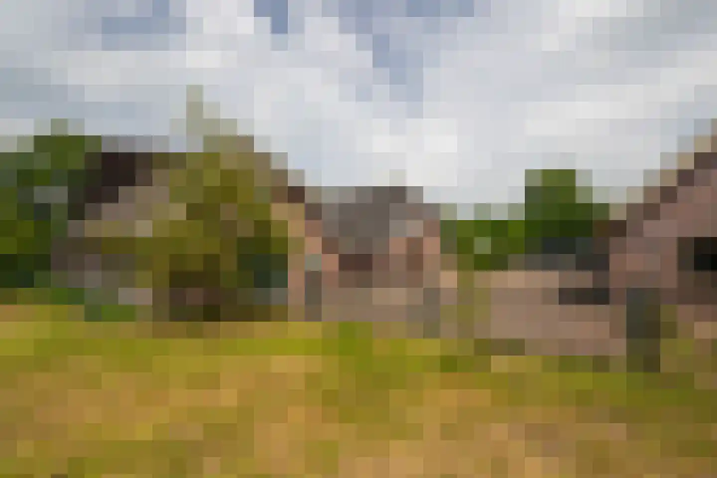 Lange Zuiderweg 62 Voorthuizen thumbnail 85