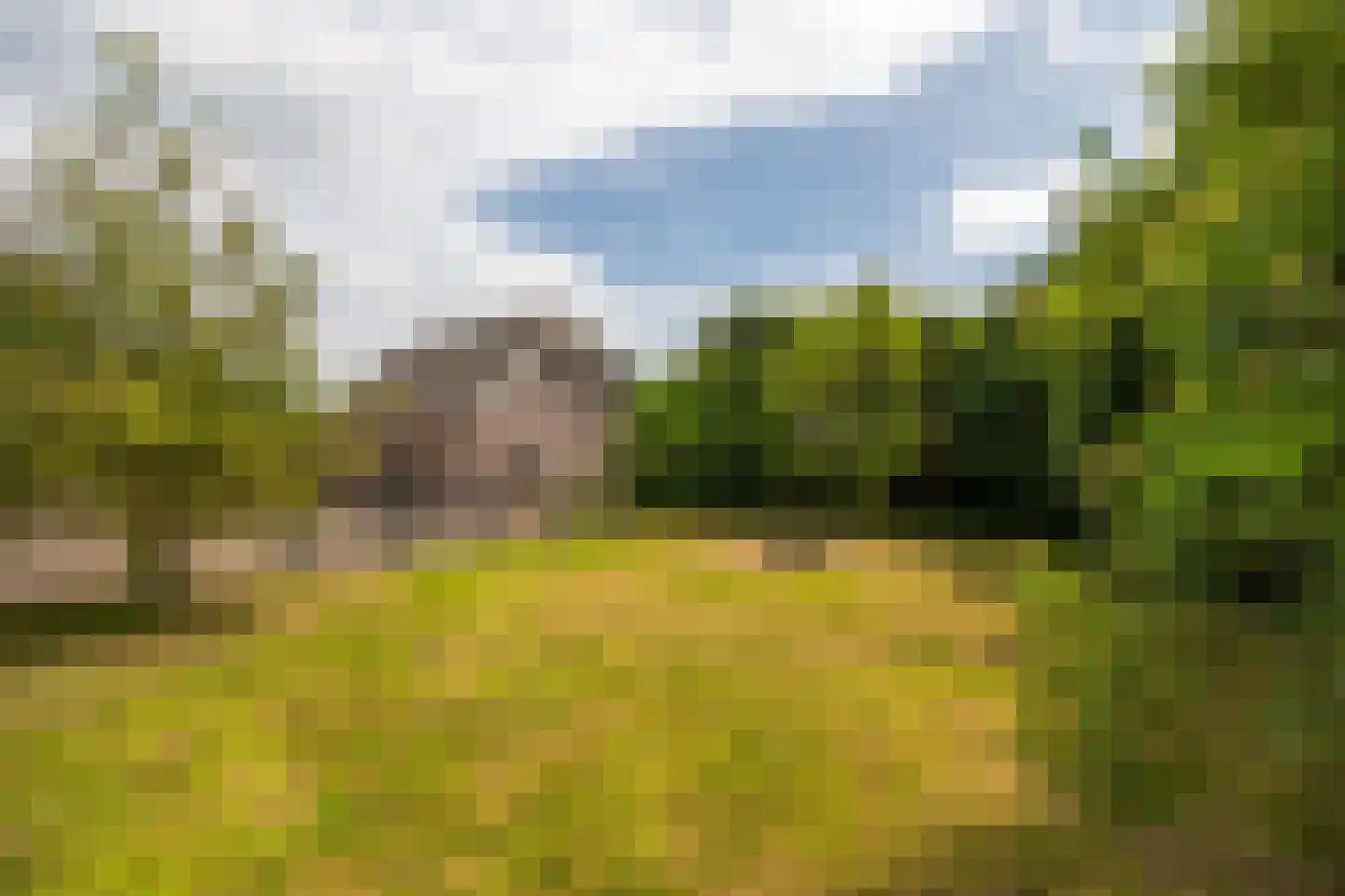 Lange Zuiderweg 62 Voorthuizen thumbnail 86