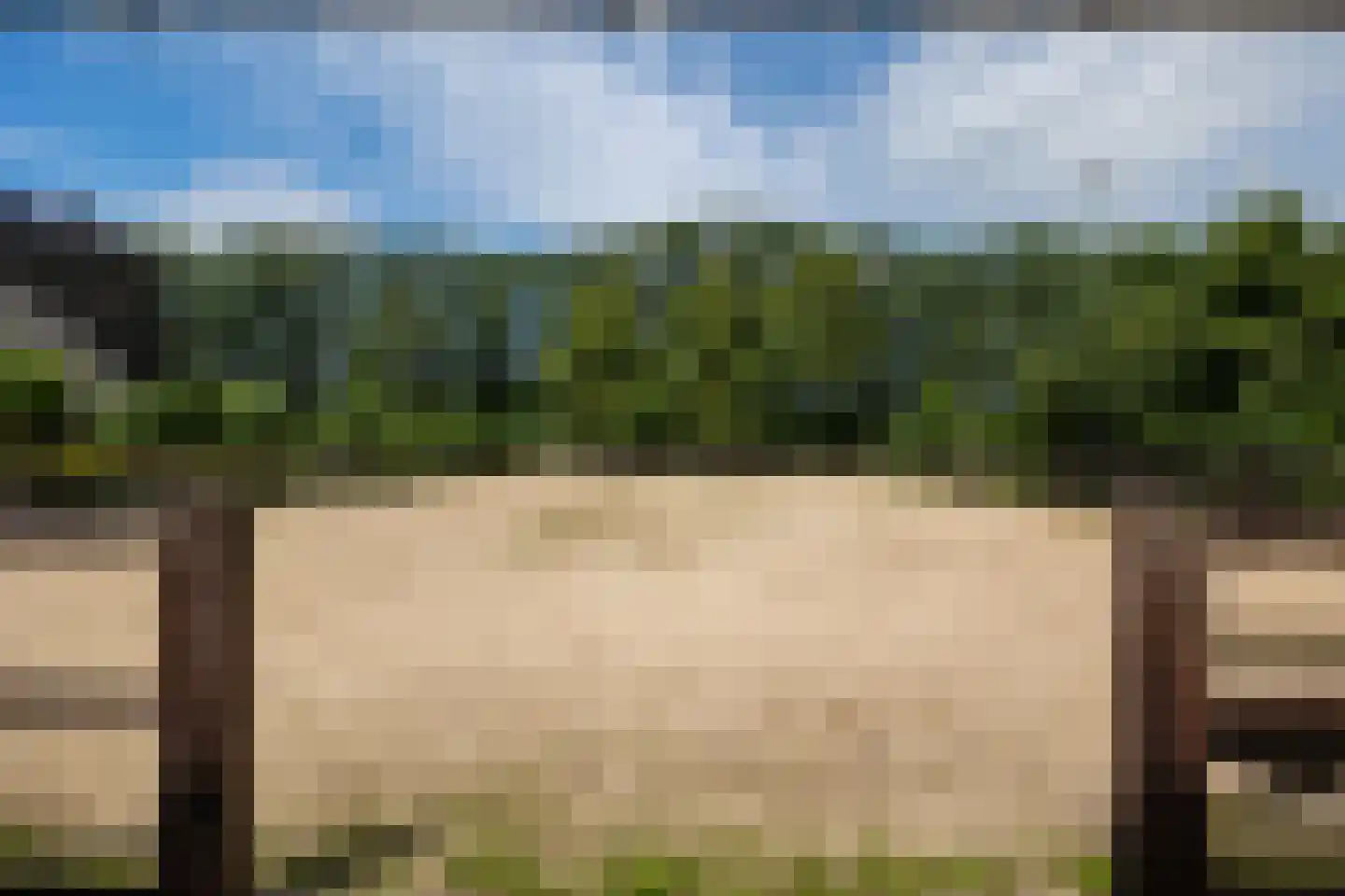 Lange Zuiderweg 62 Voorthuizen thumbnail 94