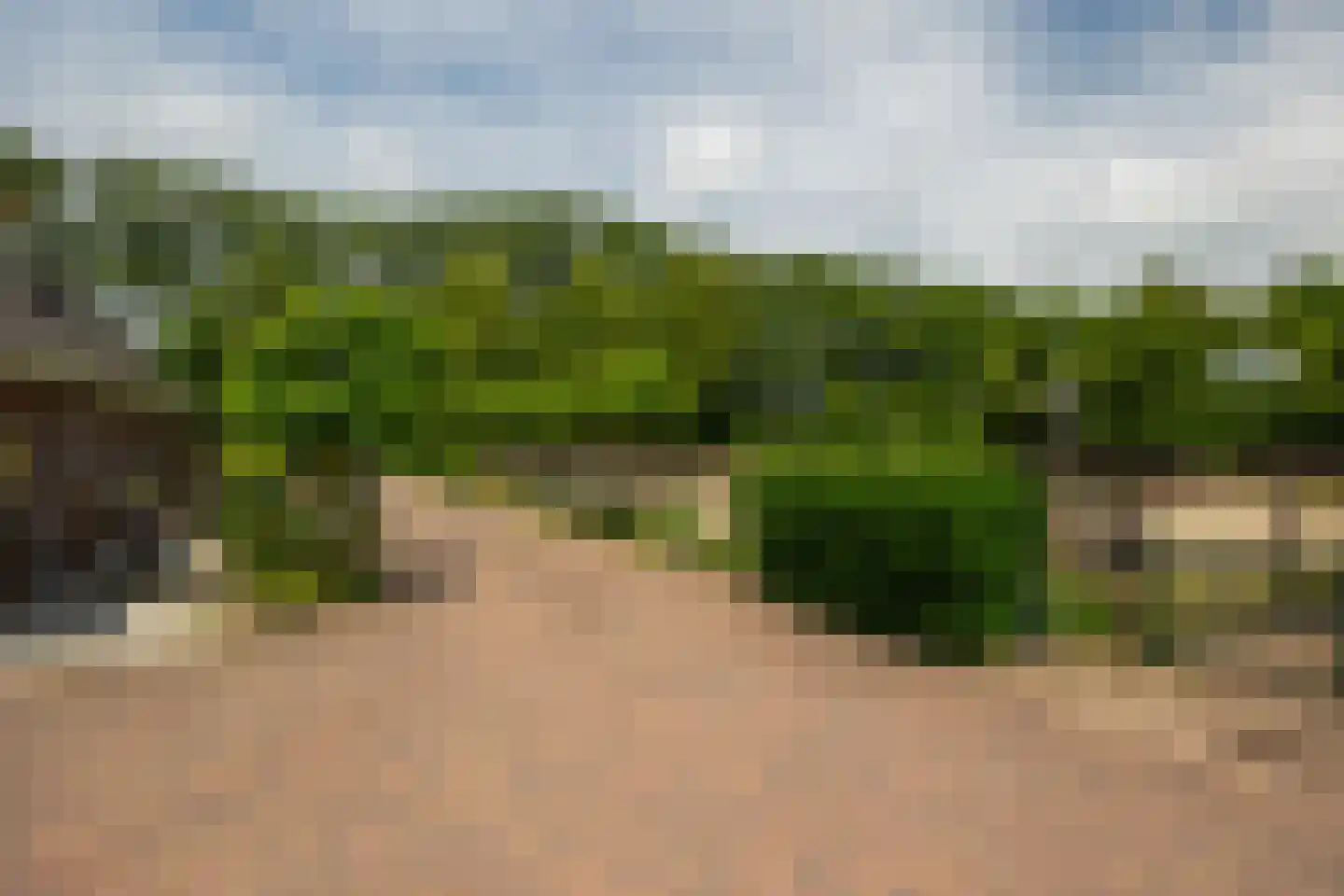 Lange Zuiderweg 62 Voorthuizen thumbnail 96