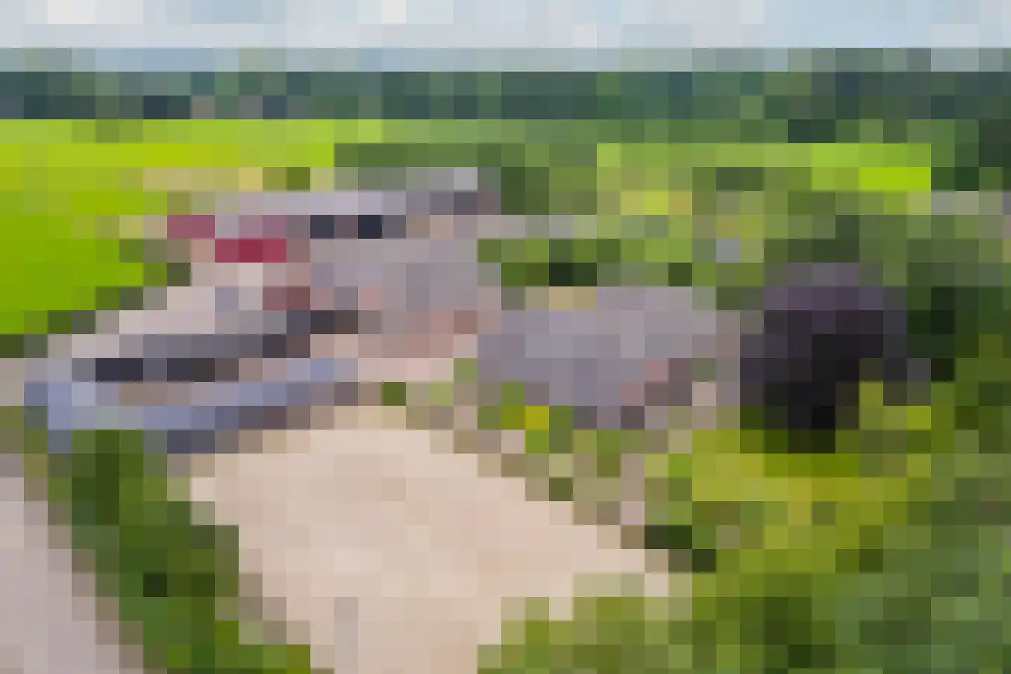 Lange Zuiderweg 62 Voorthuizen thumbnail 99