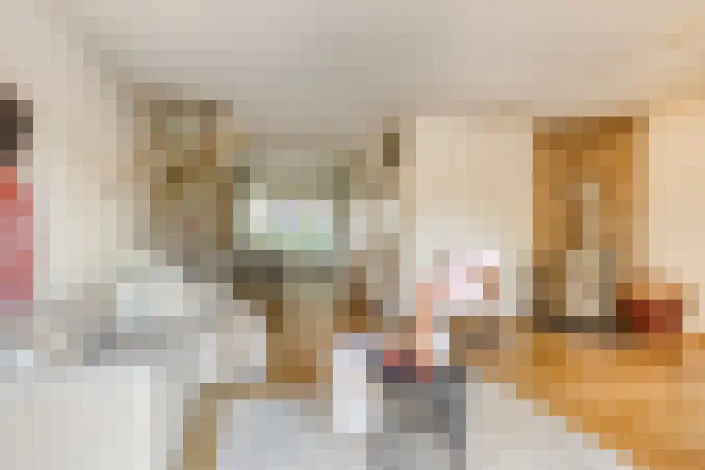 Lange Zwaard 15 Beek en Donk thumbnail 10