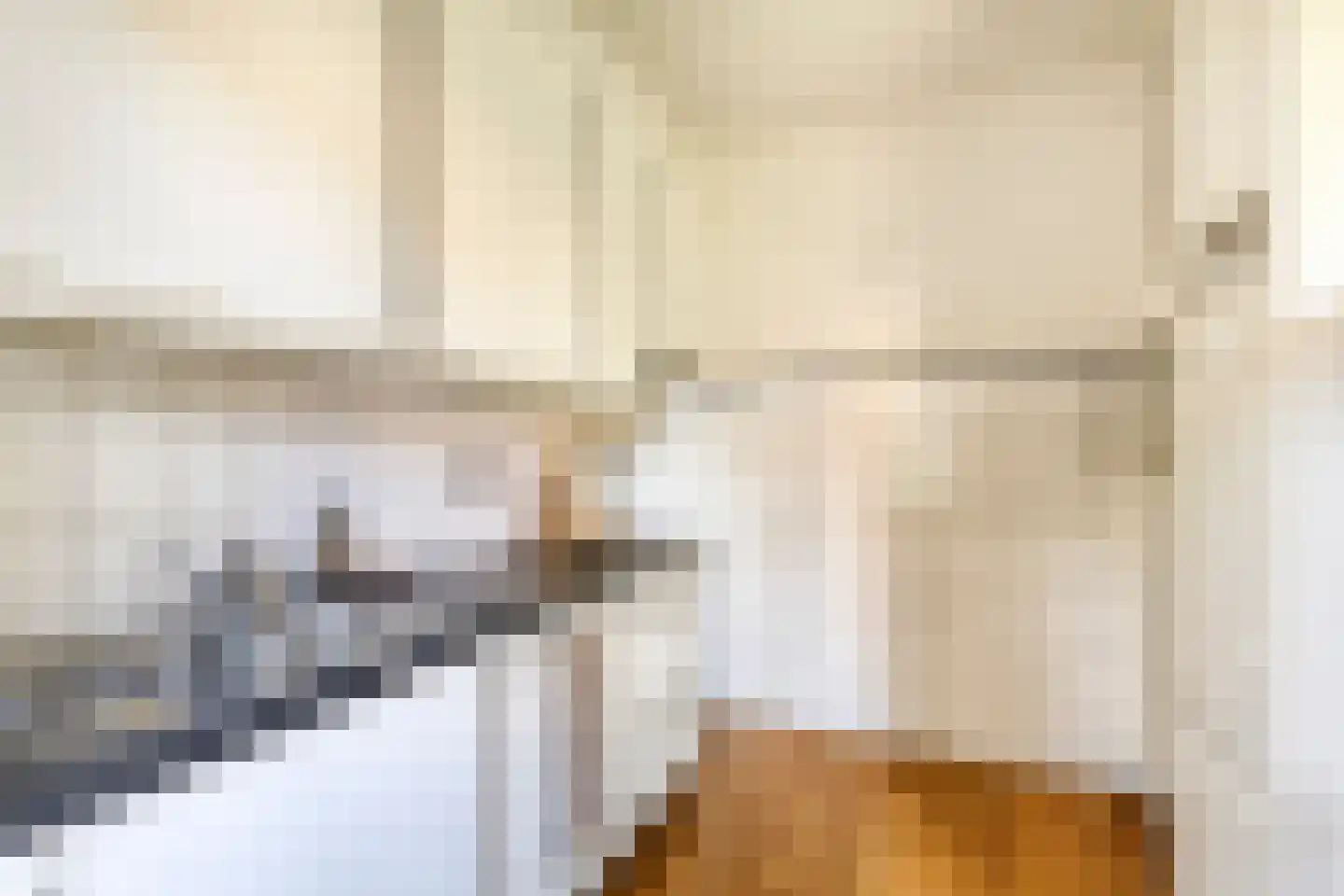 Lange Zwaard 15 Beek en Donk thumbnail 17
