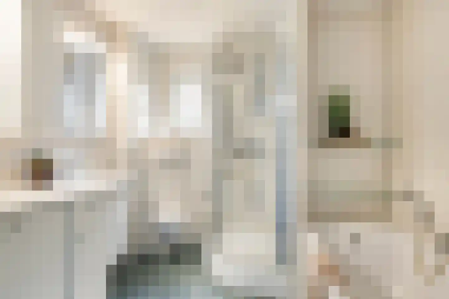 Lange Zwaard 15 Beek en Donk thumbnail 22