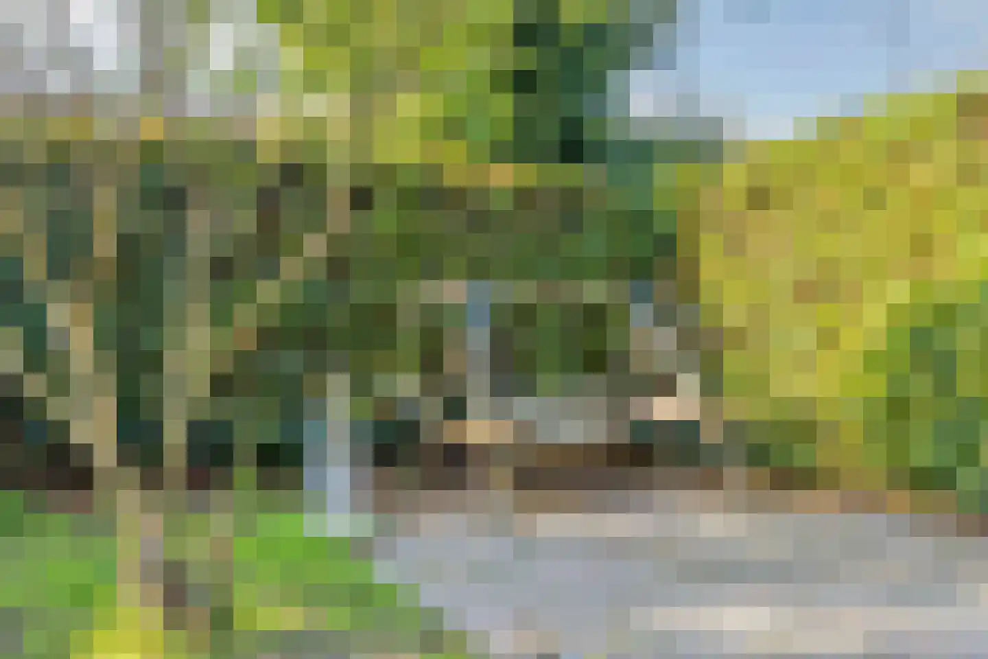 Lange Zwaard 15 Beek en Donk thumbnail 34