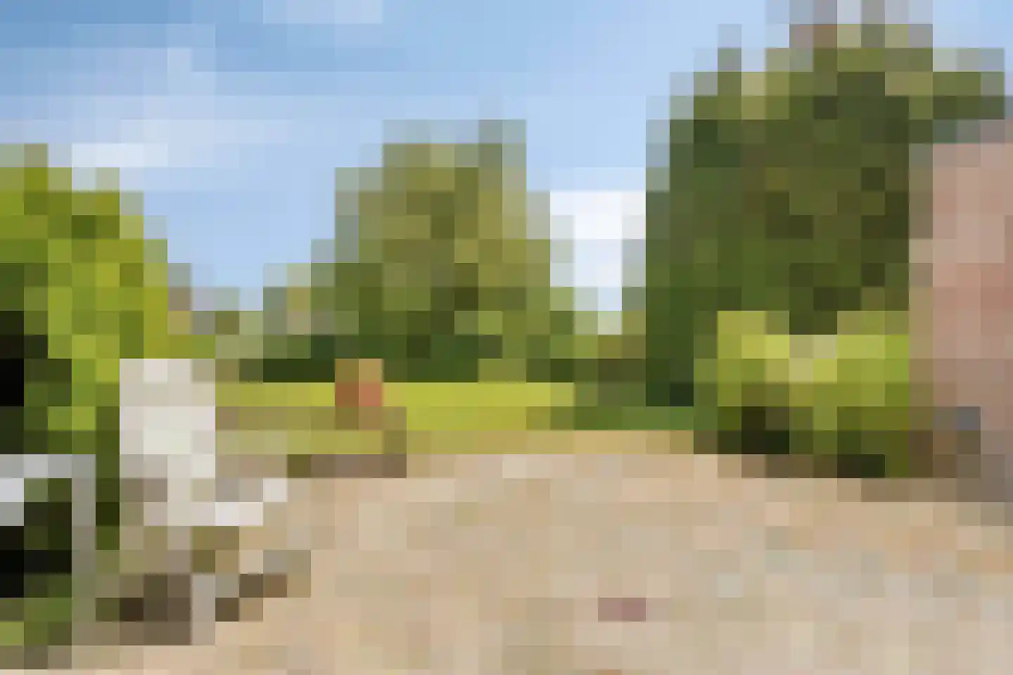 Langebaen 11 RECR Uitwellingerga thumbnail 25