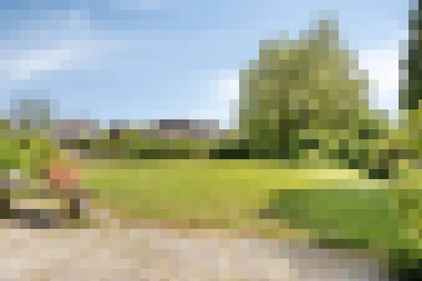 Langebaen 11 RECR Uitwellingerga thumbnail 26
