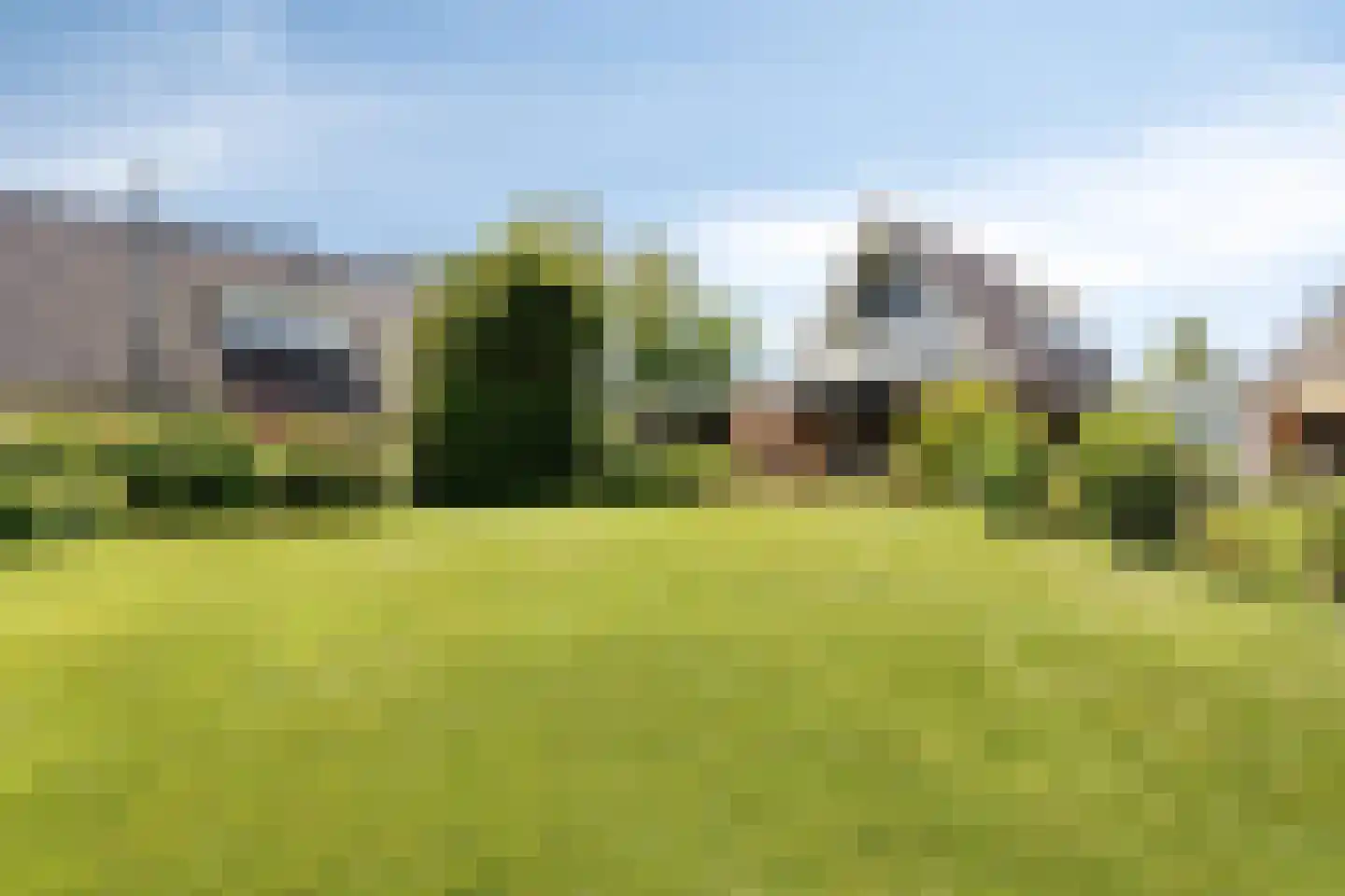 Langebaen 11 RECR Uitwellingerga thumbnail 28