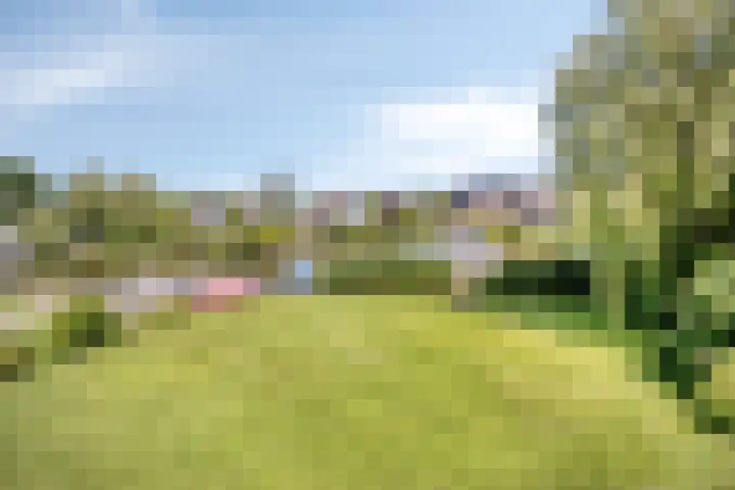 Langebaen 11 RECR Uitwellingerga thumbnail 30