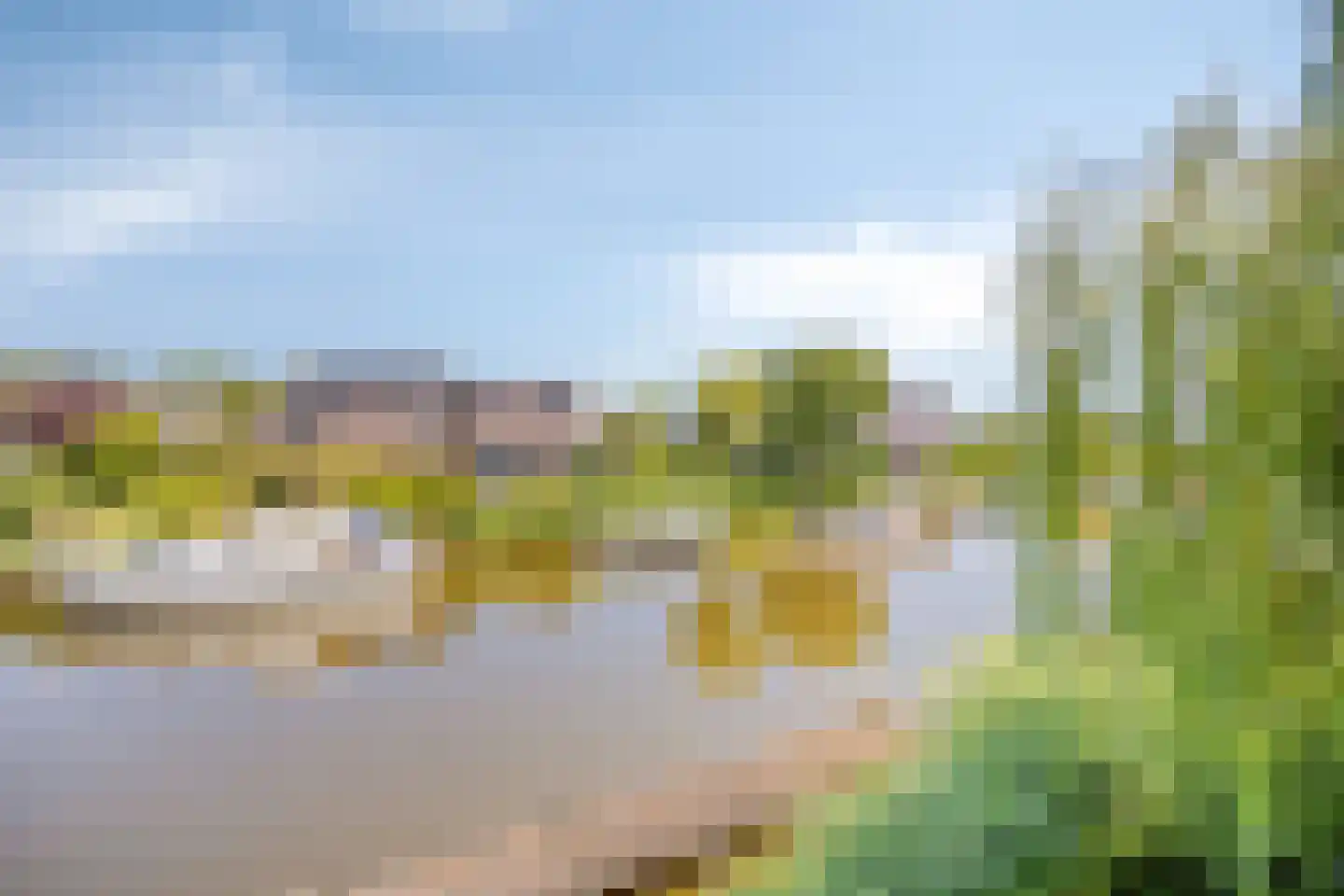 Langebaen 11 RECR Uitwellingerga thumbnail 34