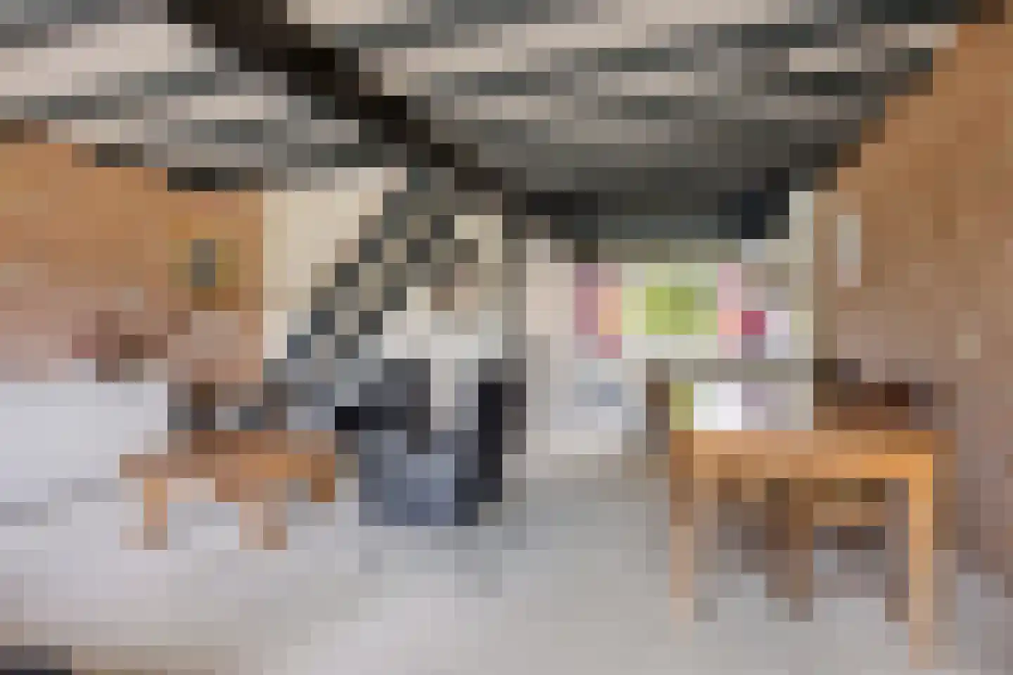 Langebaen 11 Uitwellingerga thumbnail 10