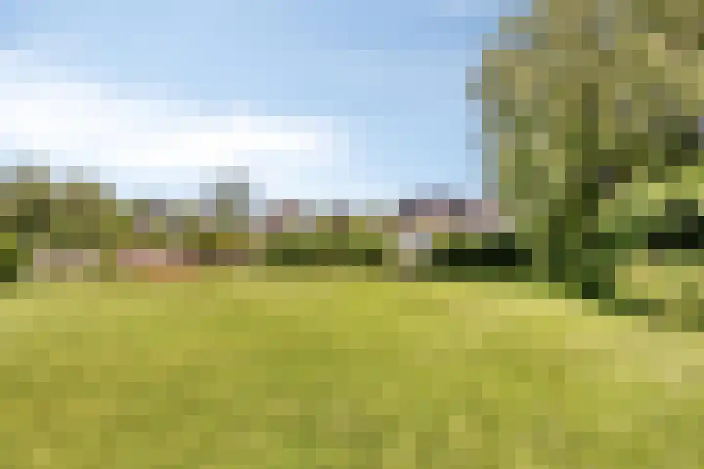 Langebaen 11 Uitwellingerga thumbnail 27