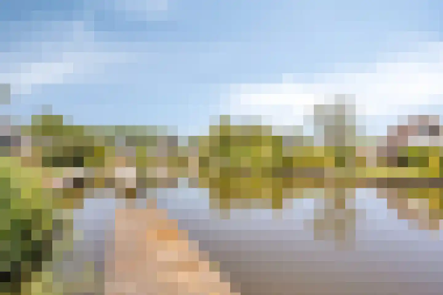 Langebaen 11 Uitwellingerga thumbnail 29