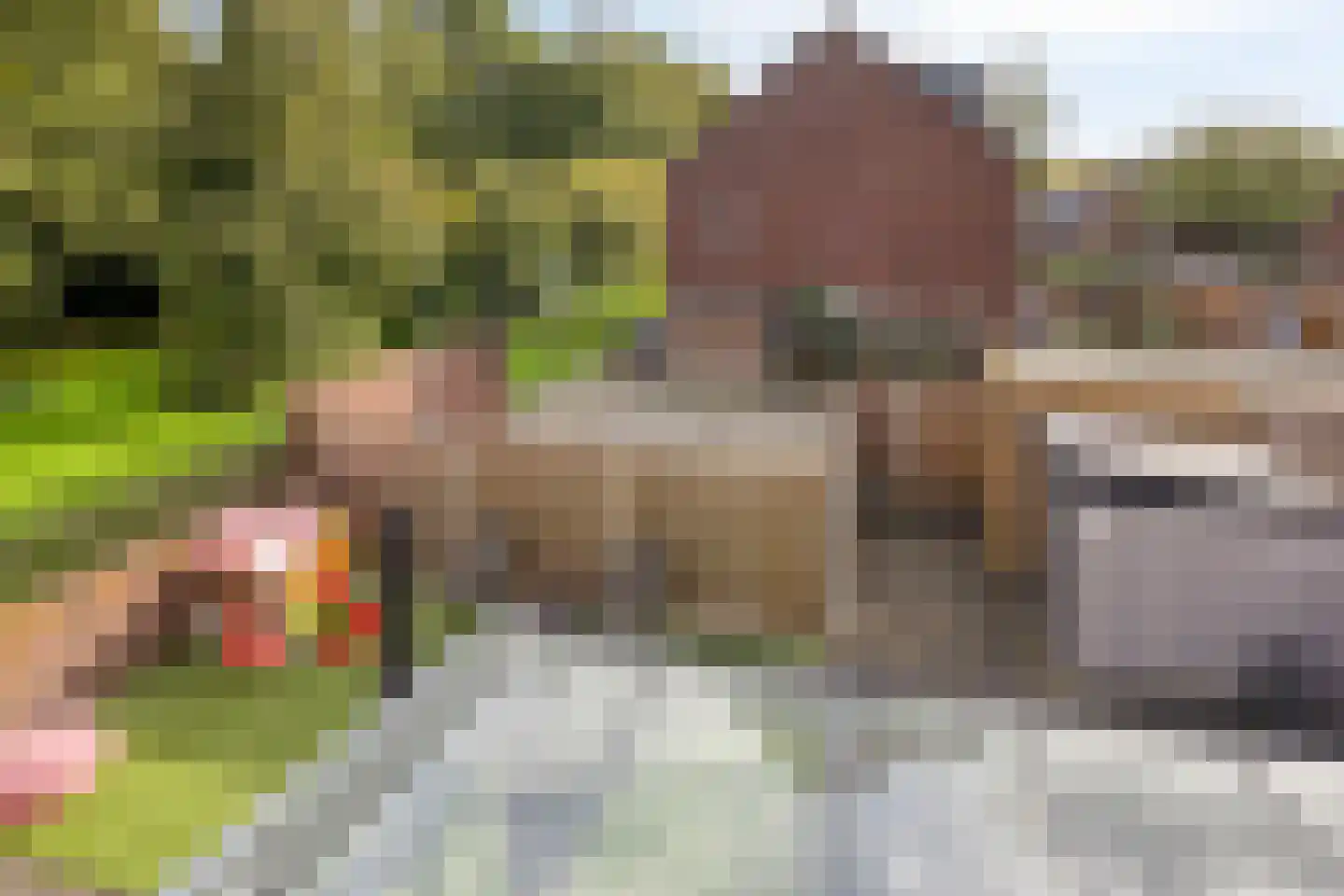 Langebakkersoord 22 Hoogvliet Rotterdam thumbnail 36