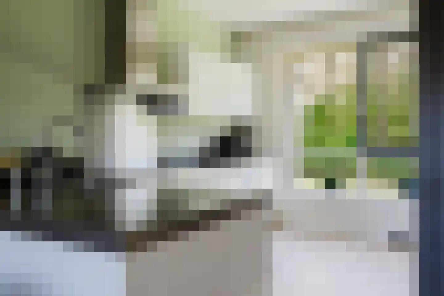 Langebakkersoord 40 Hoogvliet Rotterdam thumbnail 24