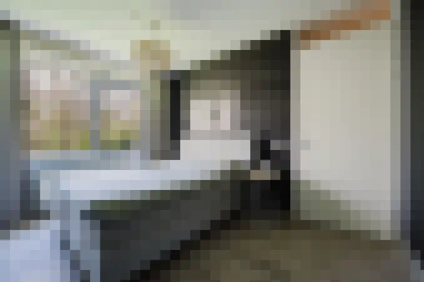 Langebakkersoord 40 Hoogvliet Rotterdam thumbnail 6