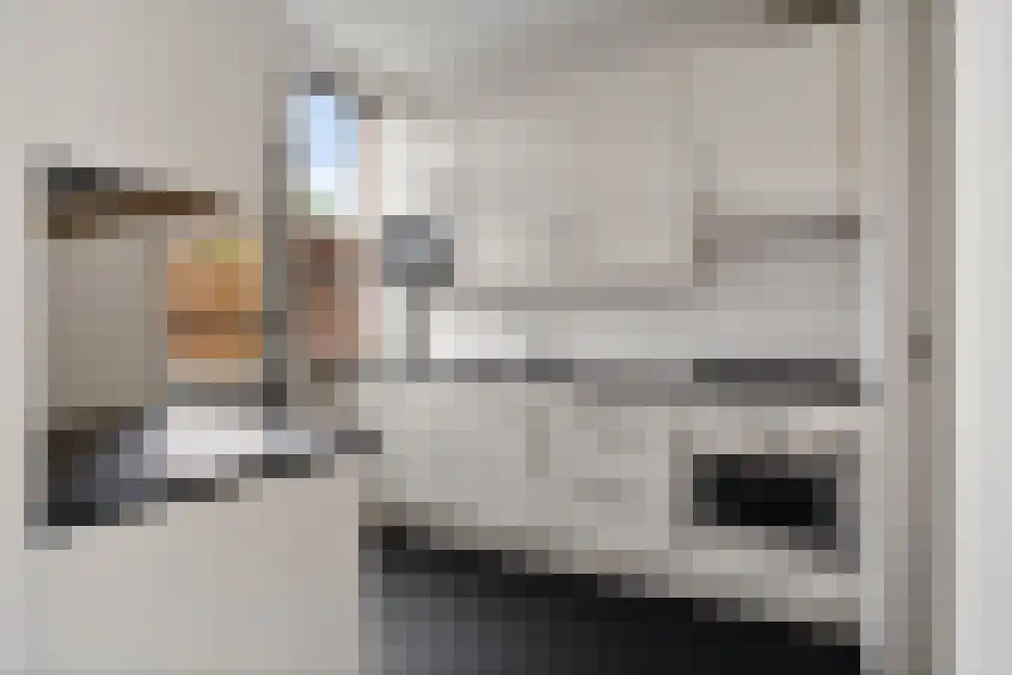 Langeberg 47 Zoetermeer thumbnail 17