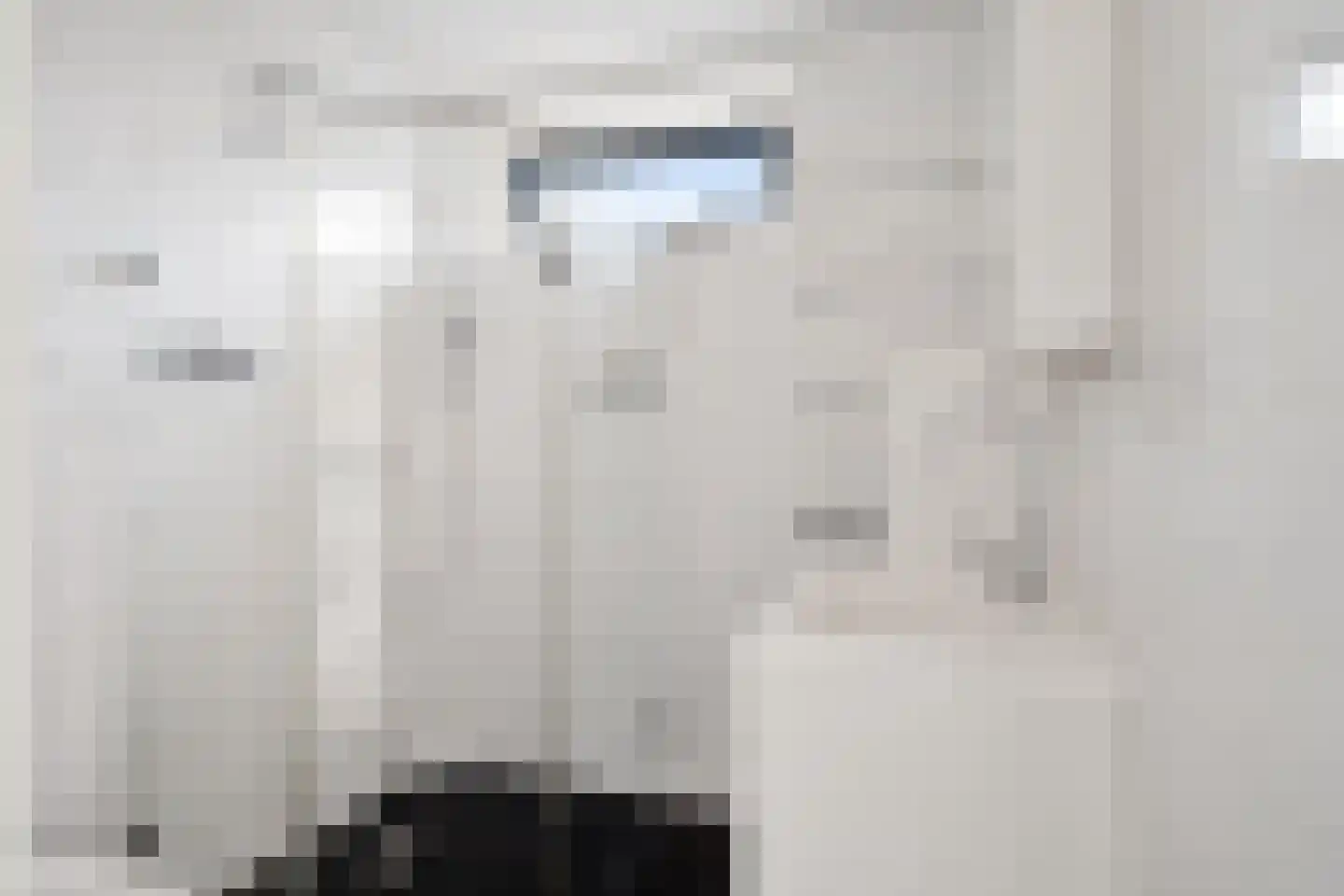 Langeberg 47 Zoetermeer thumbnail 34
