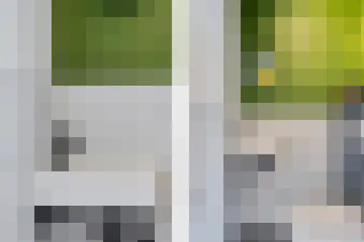 Langeberg 48 Zoetermeer thumbnail 10