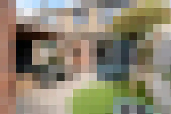 Langeberg 48 Zoetermeer thumbnail 43